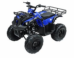 taotao 135d