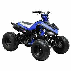 diamondback 125cc atv