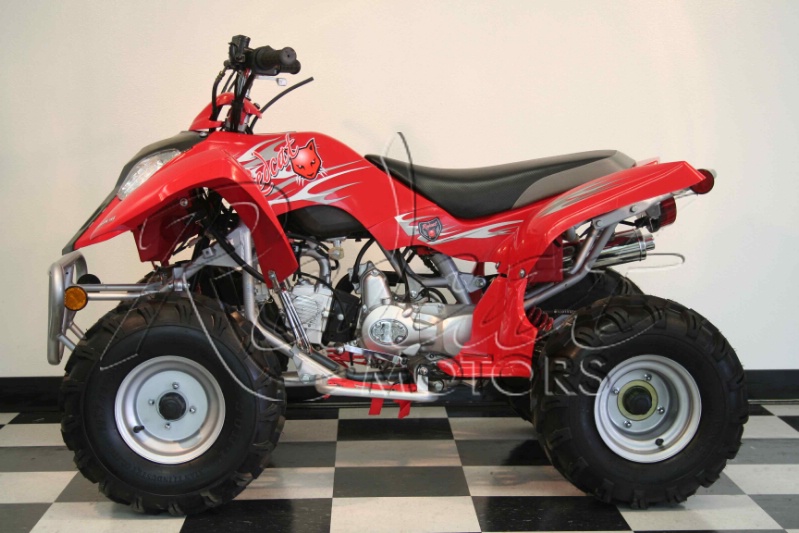Redcat Atv