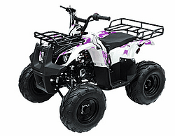 taotao 135 D